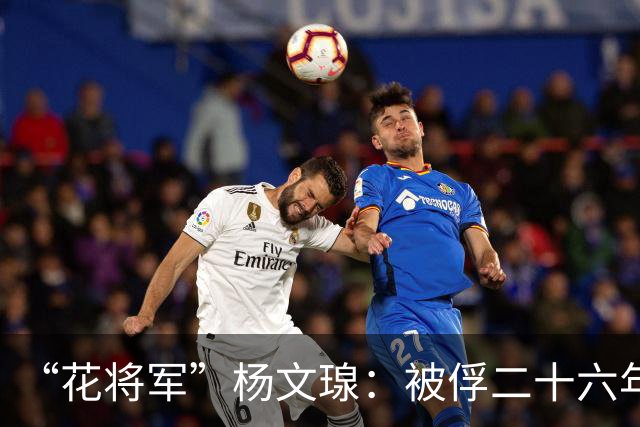 “花将军”杨文瑔：被俘二十六年拒不改造，临终时高呼蒋委员长万岁！