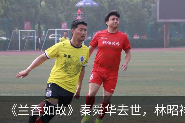 《兰香如故》秦舜华去世，林昭祥为什么披麻戴孝？这符合规矩吗