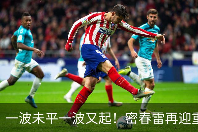 一波未平一波又起！密春雷再迎重大变动，52岁董卿也没想到这一步