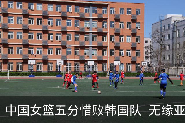 中国女篮五分惜败韩国队 无缘亚运会决赛