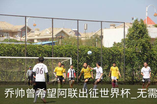 乔帅曾希望阿联出征世界杯 无需参加欧洲拉练