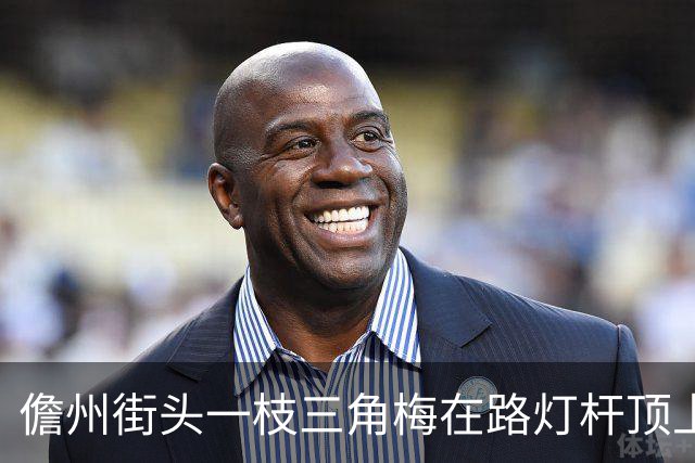 儋州街头一枝三角梅在路灯杆顶上开花，被赞“全网最努力”，园林管理局：其生长状况良好