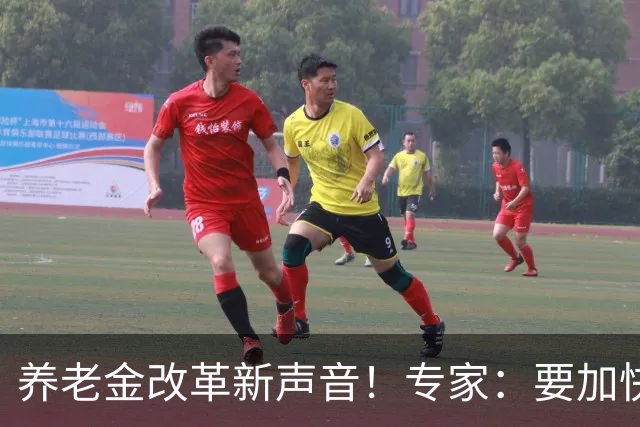 养老金改革新声音！专家：要加快缩小待遇差距，重点关照这两类人