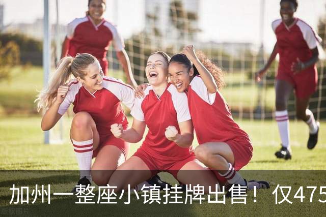 加州一整座小镇挂牌出售！仅475万美元，旅馆、餐厅、河岸全包，地下可能还藏着黄金！