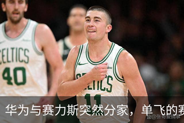 华为与赛力斯突然分家，单飞的赛力斯能走多远？