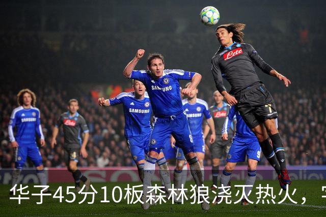 华子45分10板森林狼浇灭热火，字母哥首秀35+6三球21分6助攻