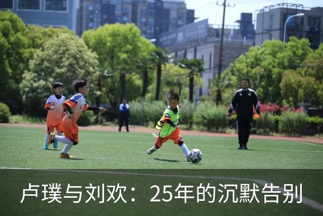 卢璞与刘欢：25年的沉默告别