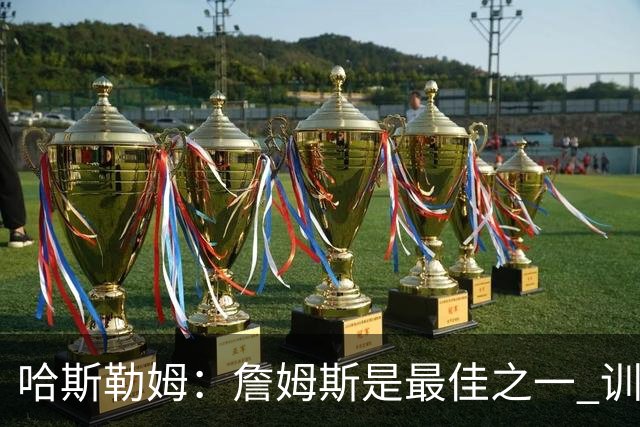 哈斯勒姆：詹姆斯是最佳之一 训练中他能让全队包括韦德都看呆