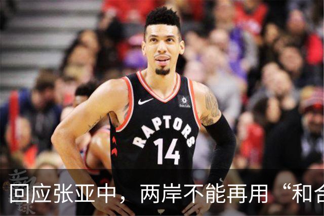 回应张亚中，两岸不能再用“和合”的修辞，把“一国”的方向继续模糊