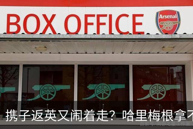 携子返英又闹着走？哈里梅根拿不到免费安保，恐数周内永久逃回美国