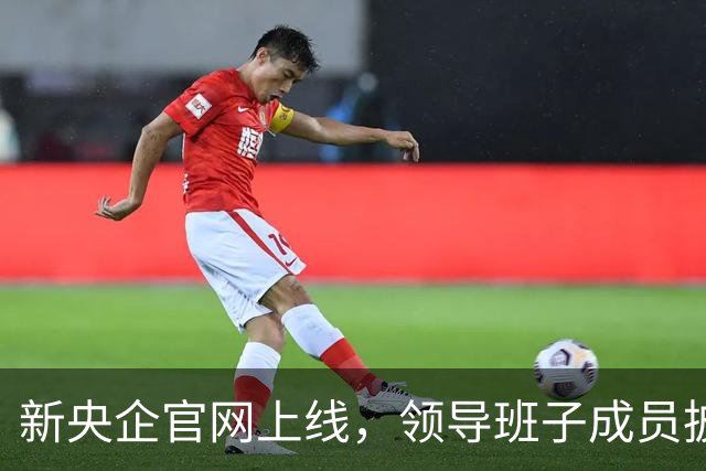 新央企官网上线，领导班子成员披露