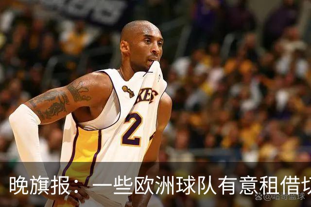 晚旗报：一些欧洲球队有意租借切尔西18岁中卫苏布洛耶