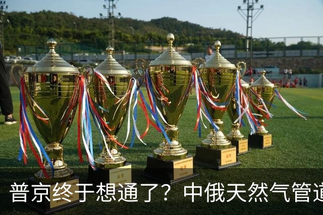 普京终于想通了？中俄天然气管道不仅绕开蒙古，价格上还是独一份