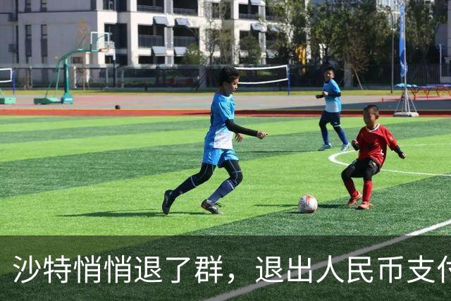 沙特悄悄退了群，退出人民币支付？真相扎心：根本没想跟美元翻脸