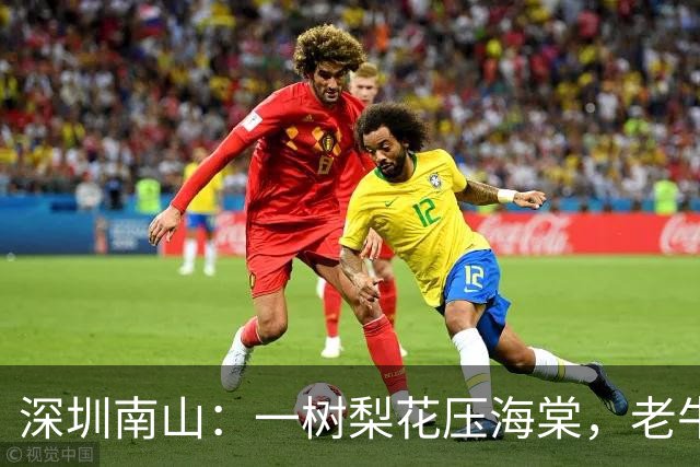 深圳南山：一树梨花压海棠，老牛嫩草谁在法外？
