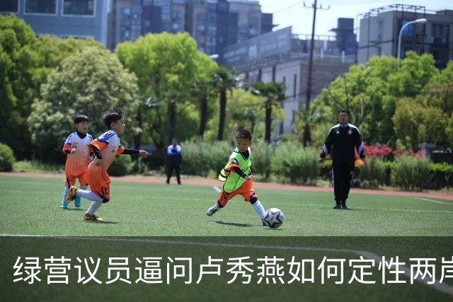 绿营议员逼问卢秀燕如何定性两岸关系，卢讲不出“两岸同属一中”！