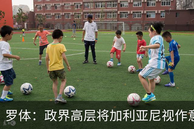 罗体：政界高层将加利亚尼视作意足协主席首选，但他积极性不高