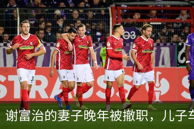 谢富治的妻子晚年被撤职，儿子车祸去世，女儿为她争取离休待遇