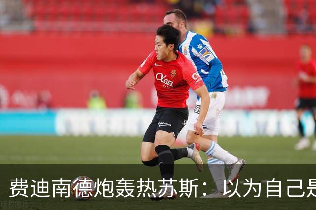 费迪南德炮轰热苏斯：以为自己是弗格森呢 他必须向C罗道歉
