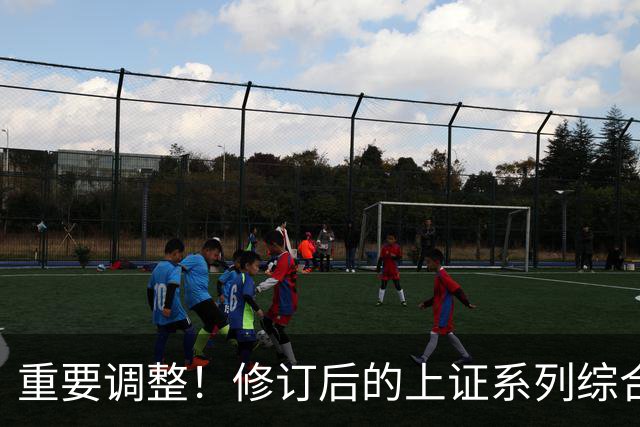 重要调整！修订后的上证系列综合指数26日起实施