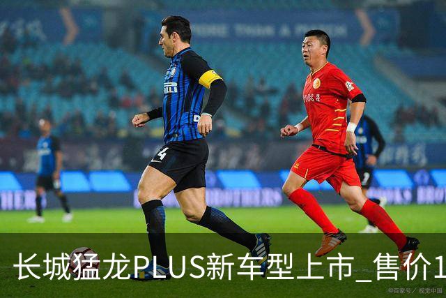 长城猛龙PLUS新车型上市 售价18.98-19.68万