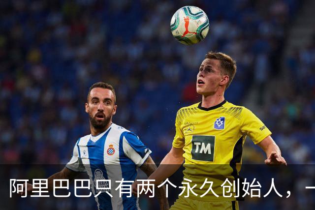 阿里巴巴只有两个永久创始人，一个叫马云，一个叫蔡崇信。